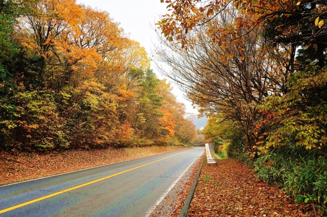 やまなみハイウェイ 県道11号