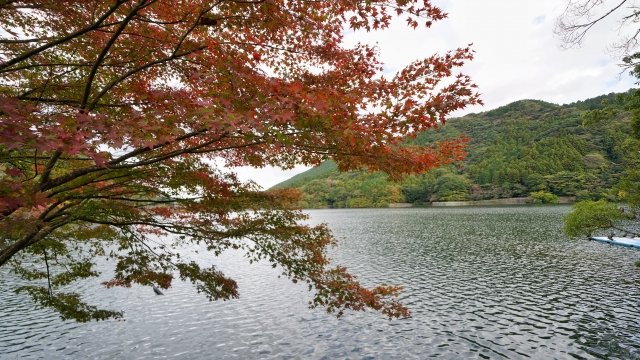 河内貯水池 周回