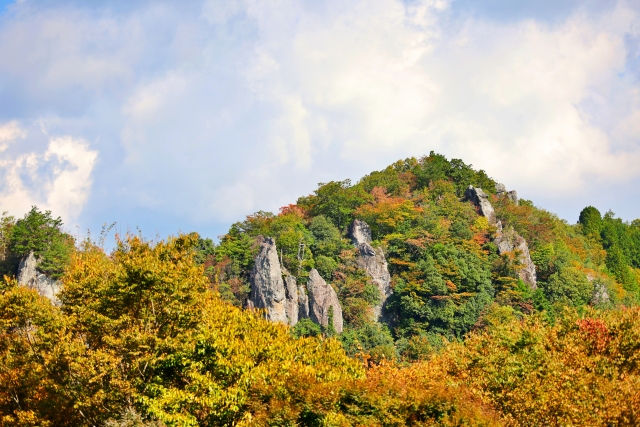 県道43号